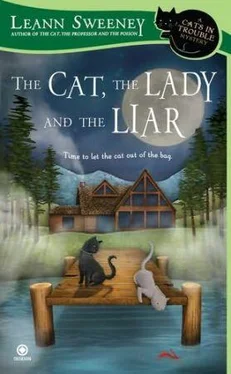 Leann Sweeney The Cat, the Lady and the Liar обложка книги