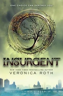 Veronica Roth Insurgent обложка книги