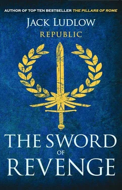 Jack Ludlow The Sword of Revenge обложка книги