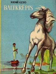 Renē Gijo - Baltkrēpis