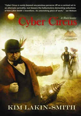 Kim Lakin-Smith Cyber Circus обложка книги