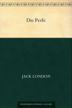 Jack London Die Perle (German Edition) обложка книги