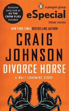 Craig Johnson Divorce Horse обложка книги