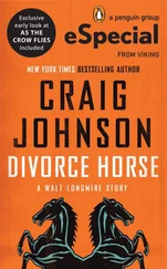 Craig Johnson - Divorce Horse