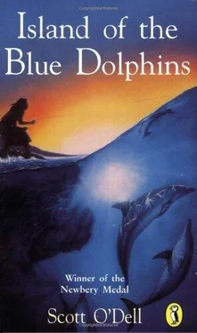 Scott O'Dell Island of the Blue Dolphins обложка книги