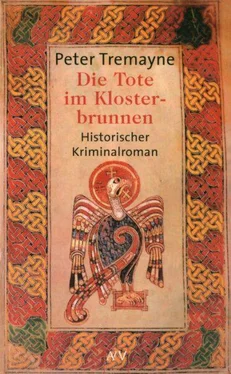 Peter Tremayne Die Tote im Klosterbrunnen обложка книги