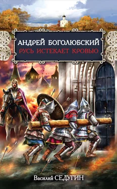 Василий Седугин Андрей Боголюбский. Русь истекает кровью обложка книги