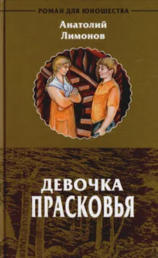 Лимонов Анатолий Девочка Прасковья обложка книги