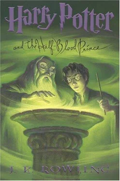 Lee Harry Potter and the Half-Blood Prince обложка книги