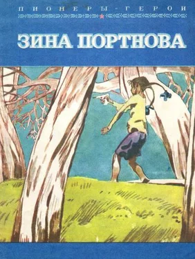 Григорий Набатов Зина Портнова обложка книги