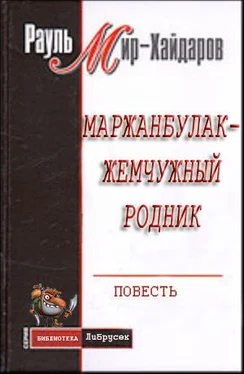 Рауль Мир–Хайдаров Маржанбулак — жемчужный родник обложка книги