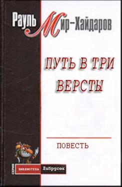 Рауль Мир–Хайдаров Путь в три версты обложка книги