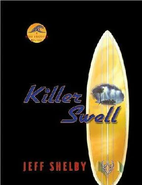 Jeff Shelby Killer Swell обложка книги