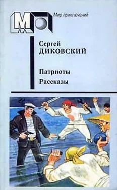 Сергей Диковский Погоня обложка книги