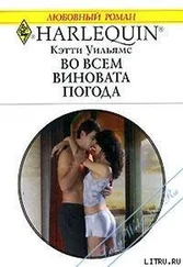 Кэтти Уильямс - Во всем виновата погода