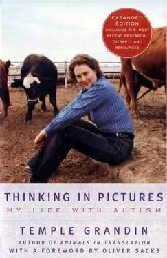 Temple Grandin Thinking in pictures обложка книги