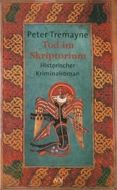 Peter Tremayne Tod im Skriptorium обложка книги