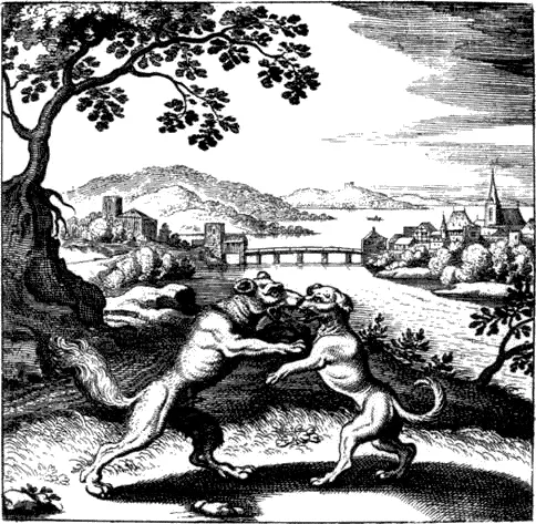 XIII Ламбспринк О философском камне 1625 г Битва собаки и волка либо - фото 14