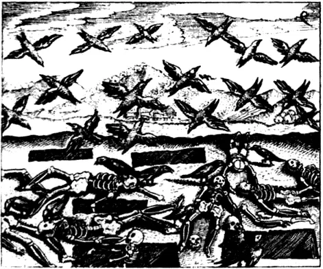 XIV Иоганн Даниэль Милий Реформированная философия 1622 г Классические - фото 15