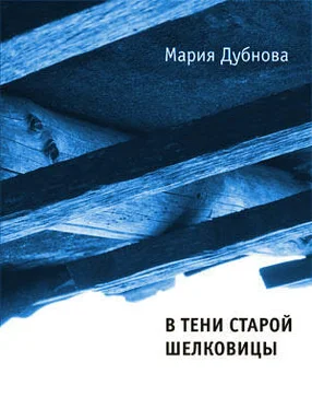 Мария Дубнова В тени старой шелковицы обложка книги