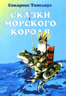 Сакариас Топелиус Червячок — Король Малинника обложка книги