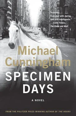 Michael Cunningham Specimen Days обложка книги