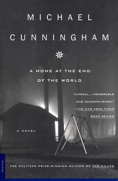Michael Cunningham A Home at the End of the World