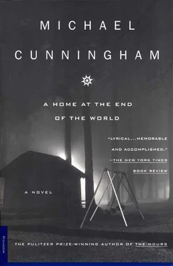 Michael Cunningham A Home at the End of the World обложка книги