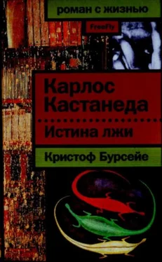 Кристоф Бурсейе Карлос Кастанеда: Истина лжи обложка книги