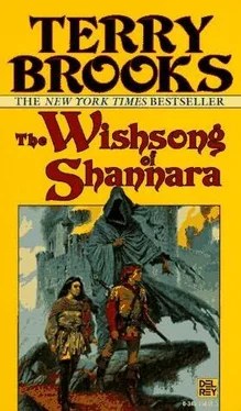 Terry Brooks The Wishsong of Shannara обложка книги