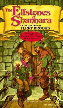 Terry Brooks The Elfstones of Shannara обложка книги