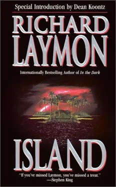 Richard Laymon Island обложка книги