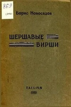 Борис Новосадов Шершавые вирши обложка книги