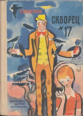 Самуил Миримский Скворец №17 (рассказы) обложка книги