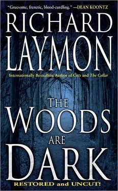 Laymon Laymon The Woods Are Dark обложка книги