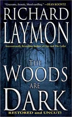 Laymon Laymon - The Woods Are Dark