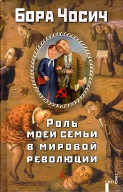 Бора Чосич Роль моей семьи в мировой революции обложка книги