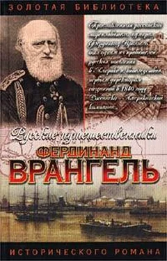 Аркадий Кудря Фердинанд Врангель. След на земле обложка книги