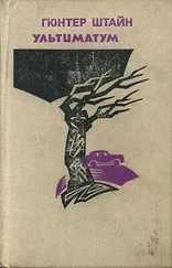 Гюнтер Штайн - Подарок