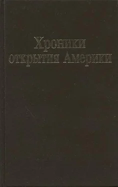 Христофор Колумб Хроники открытия Америки. Новая Испания. Книга I: Исторические документы обложка книги