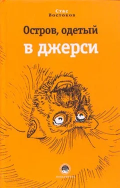 Станислав Востоков Остров, одетый в джерси обложка книги