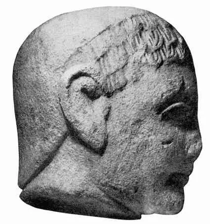 Голова мужчины Известняк Экспонат археологического музея Барселоны В - фото 6