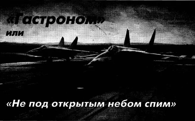 Алексей ЛАРИОНОВ Гастроном или не под открытым небом спим История - фото 16