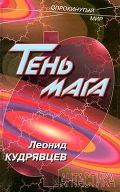 Леонид Кудрявцев Тень мага обложка книги