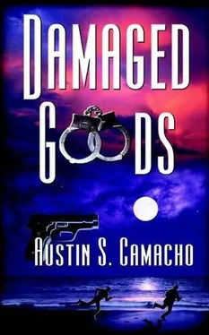 Austin Camacho Damaged goods обложка книги