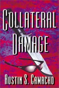 Austin Camacho Collateral damage обложка книги