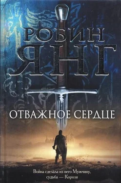 Робин Янг Отважное сердце обложка книги