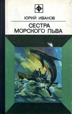 Юрий Иванов Сестра морского льва обложка книги