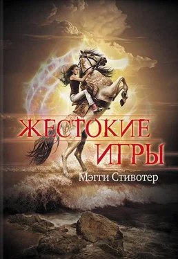 Мэгги Стивотер Жестокие игры обложка книги