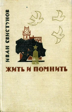 Иван Свистунов Жить и помнить обложка книги